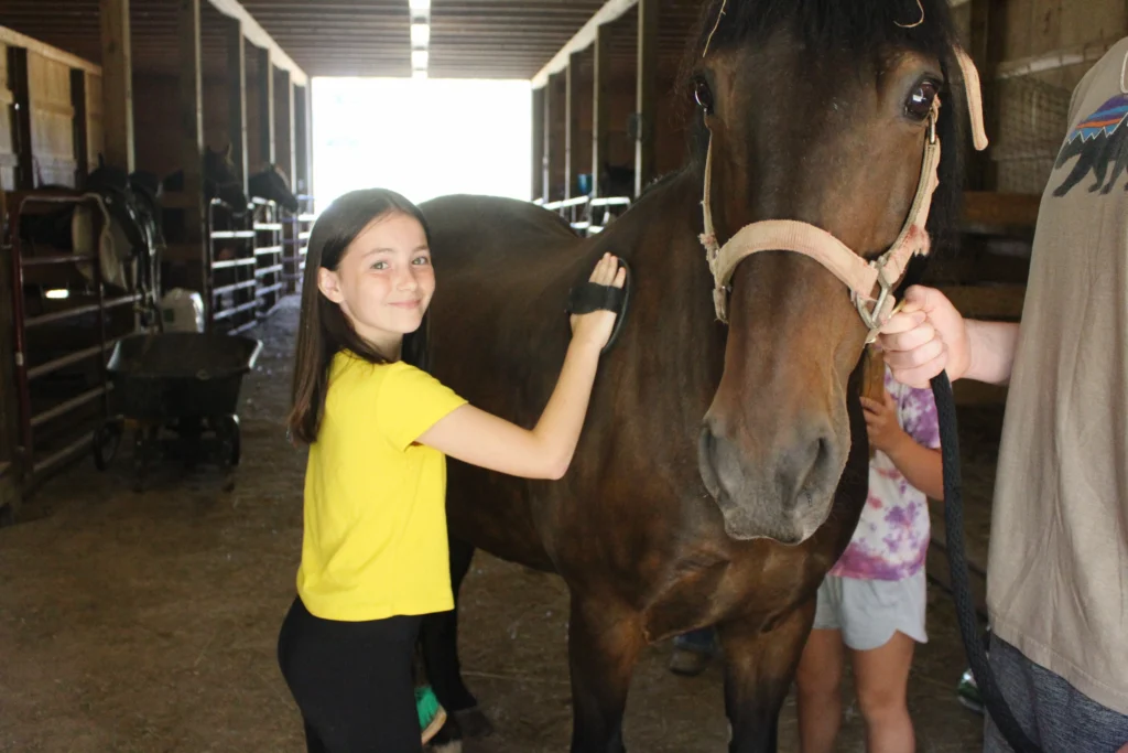 A girl camper helps bruch a horse