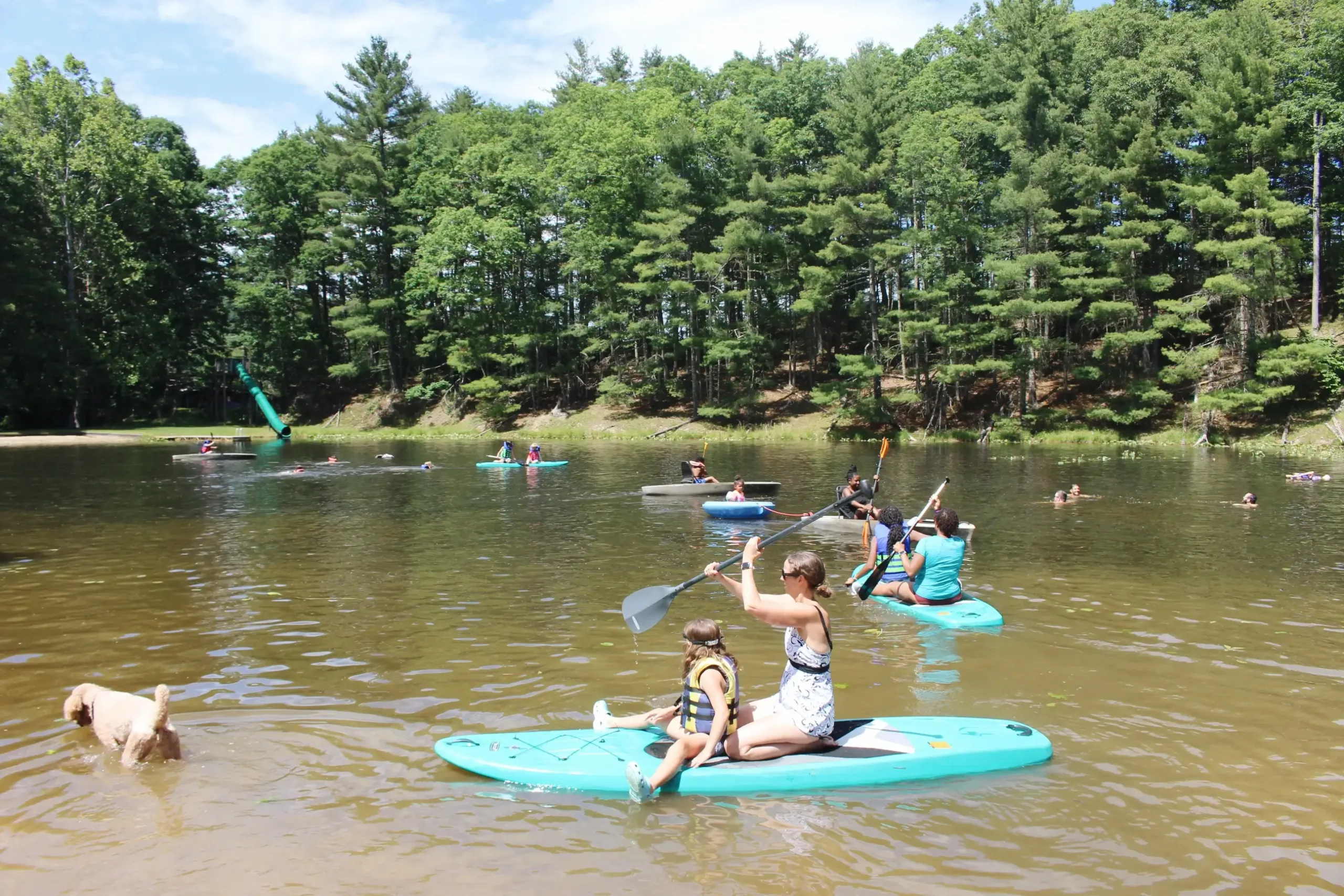 Families sit down paddle board on the creek